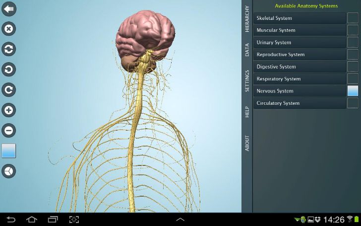 Anatomy 3D - Anatronica Tablet